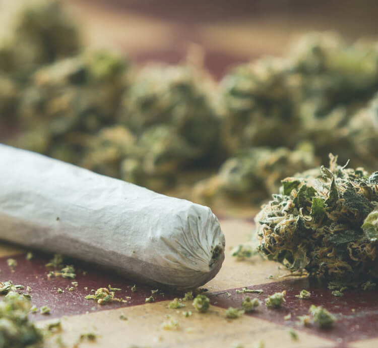 марихуана